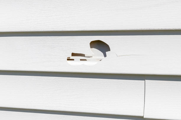 Siding for Commercial Buildings in Shoal Creek, AL