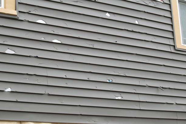 Trusted Shoal Creek, AL Siding Installation & Repair Experts