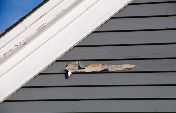 Affordable siding repair and maintenance services in Shoal Creek, AL