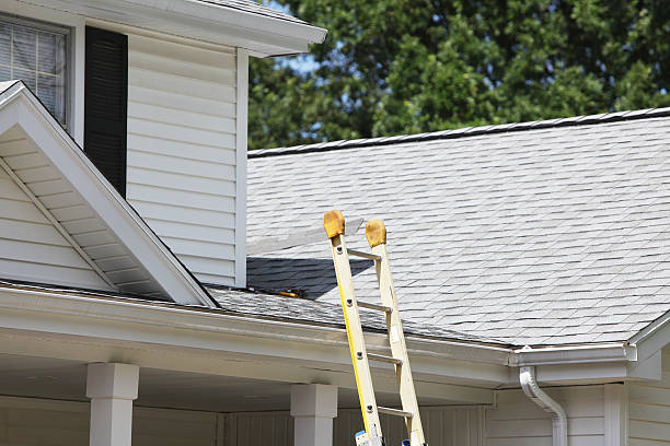 Best Stucco Siding  in Sho Creek, AL
